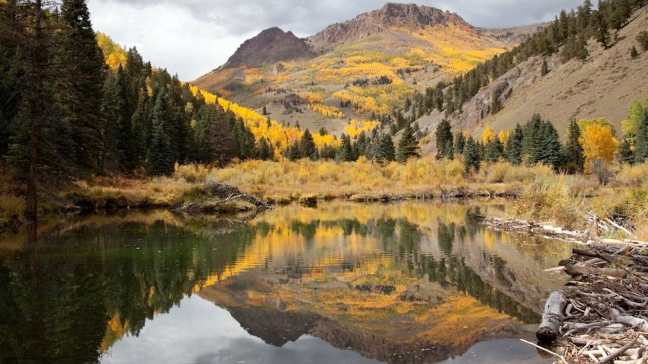 Photo of Outdoor in Creede