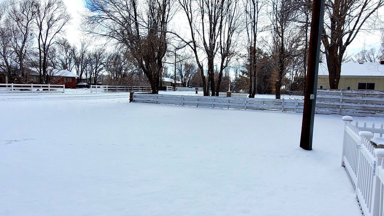 Photo of Outdoor in Alamosa