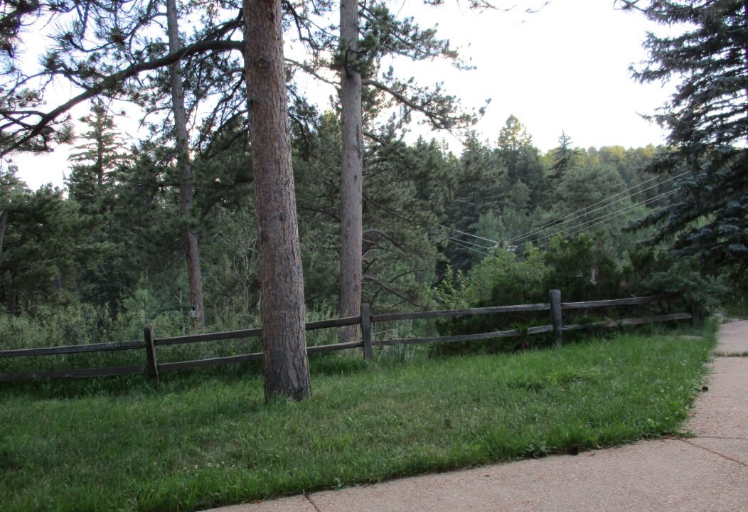 Photo of Outdoor in Morrison