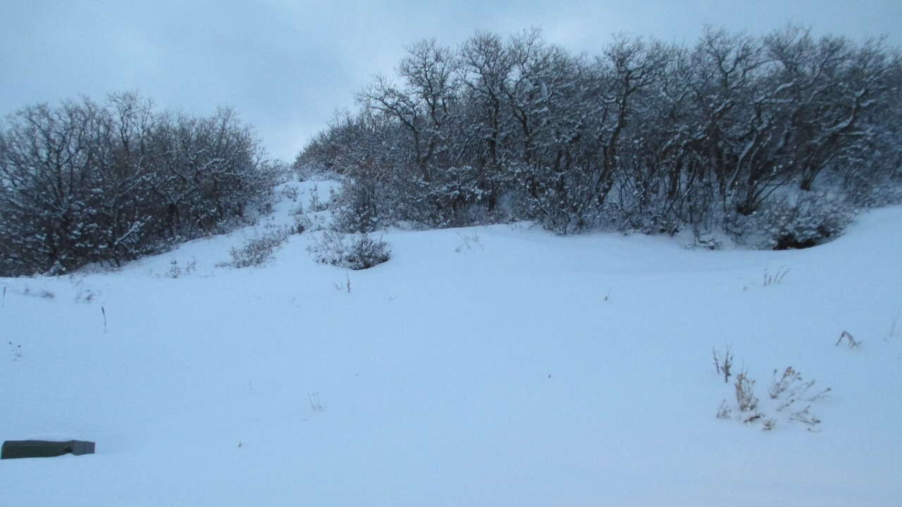 Photo of Others in Collbran