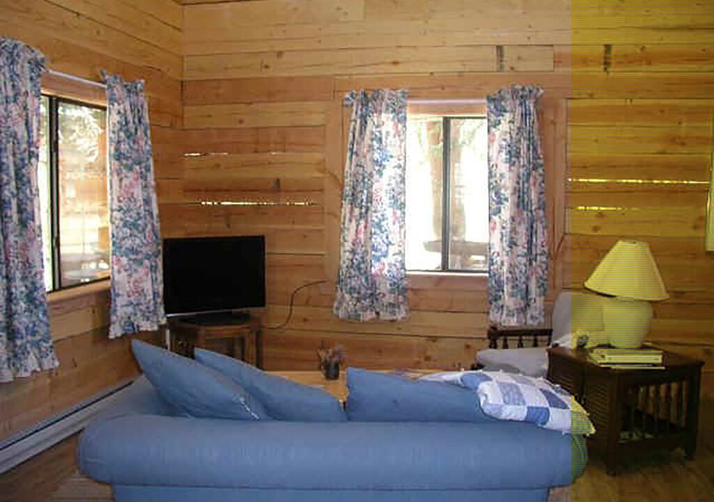 Photo of Livingroom in Lake City