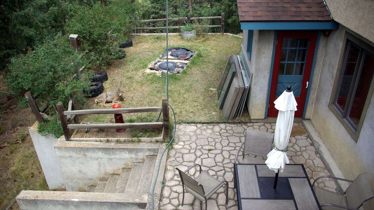 Photo of Outdoor in Evergreen