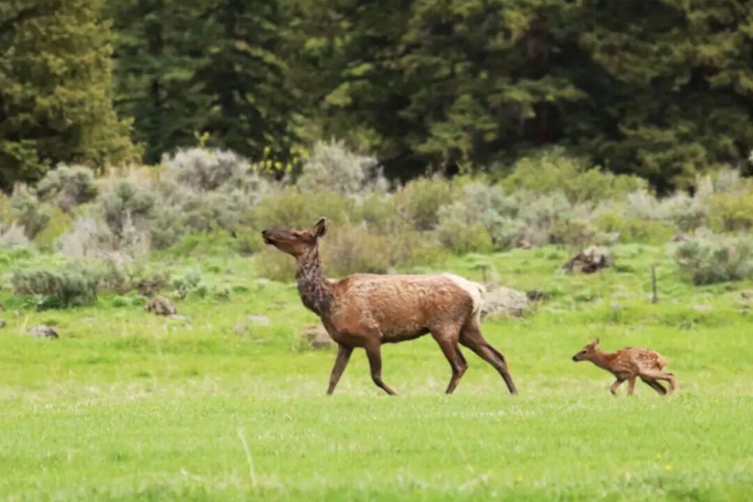 Photo of Others in Meeker