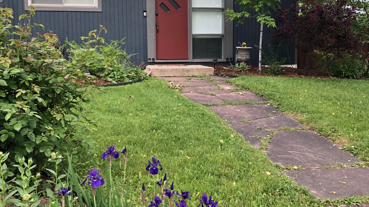 Photo of Outdoor in Baseline Sub