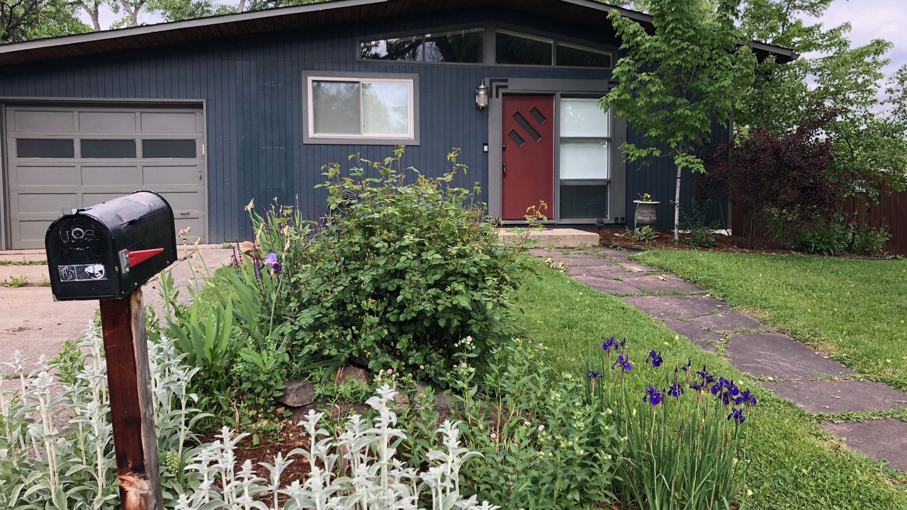 Photo of Outdoor in Baseline Sub