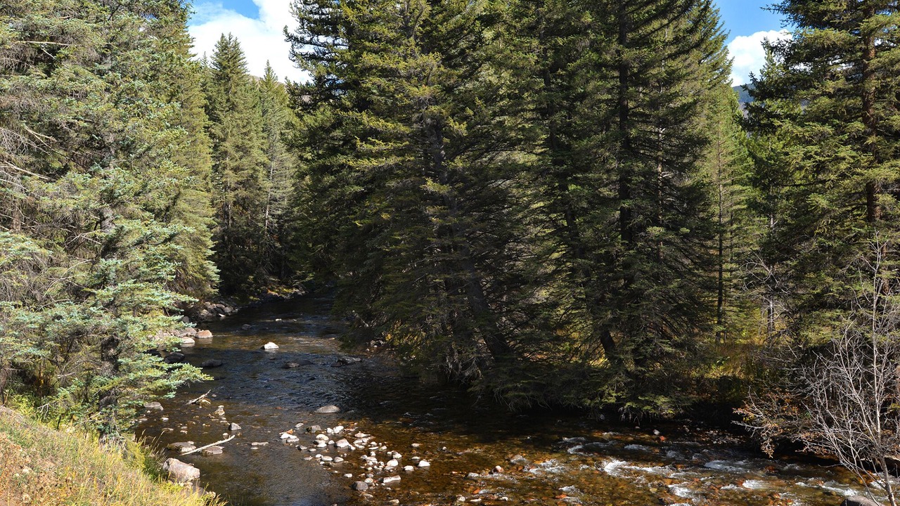 Photo of Others in Vail