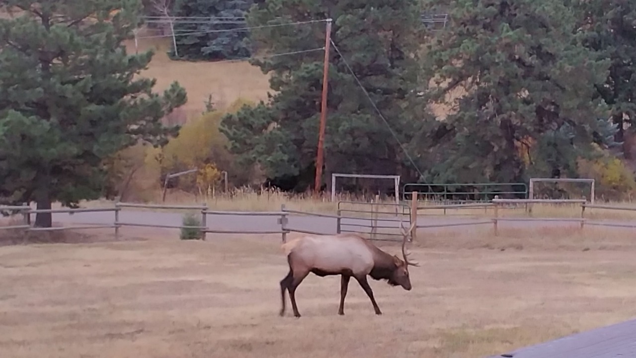 Photo of Others in Evergreen