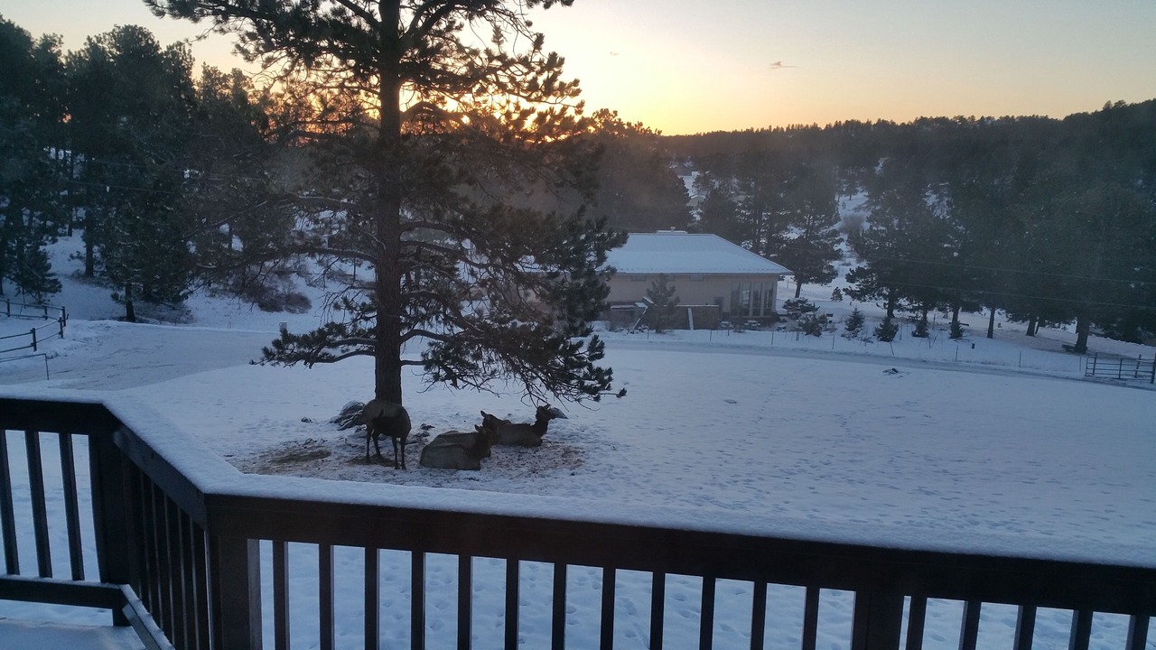 Photo of Others in Evergreen