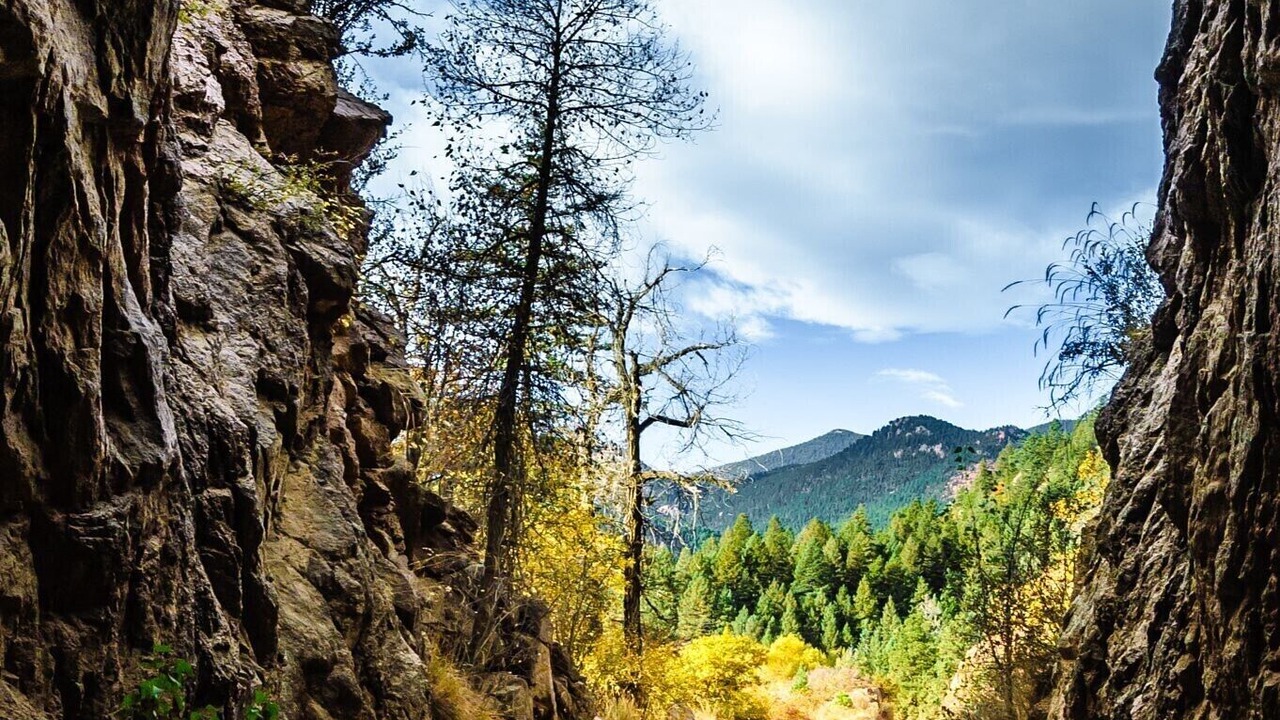 Photo of Others in Colorado Springs