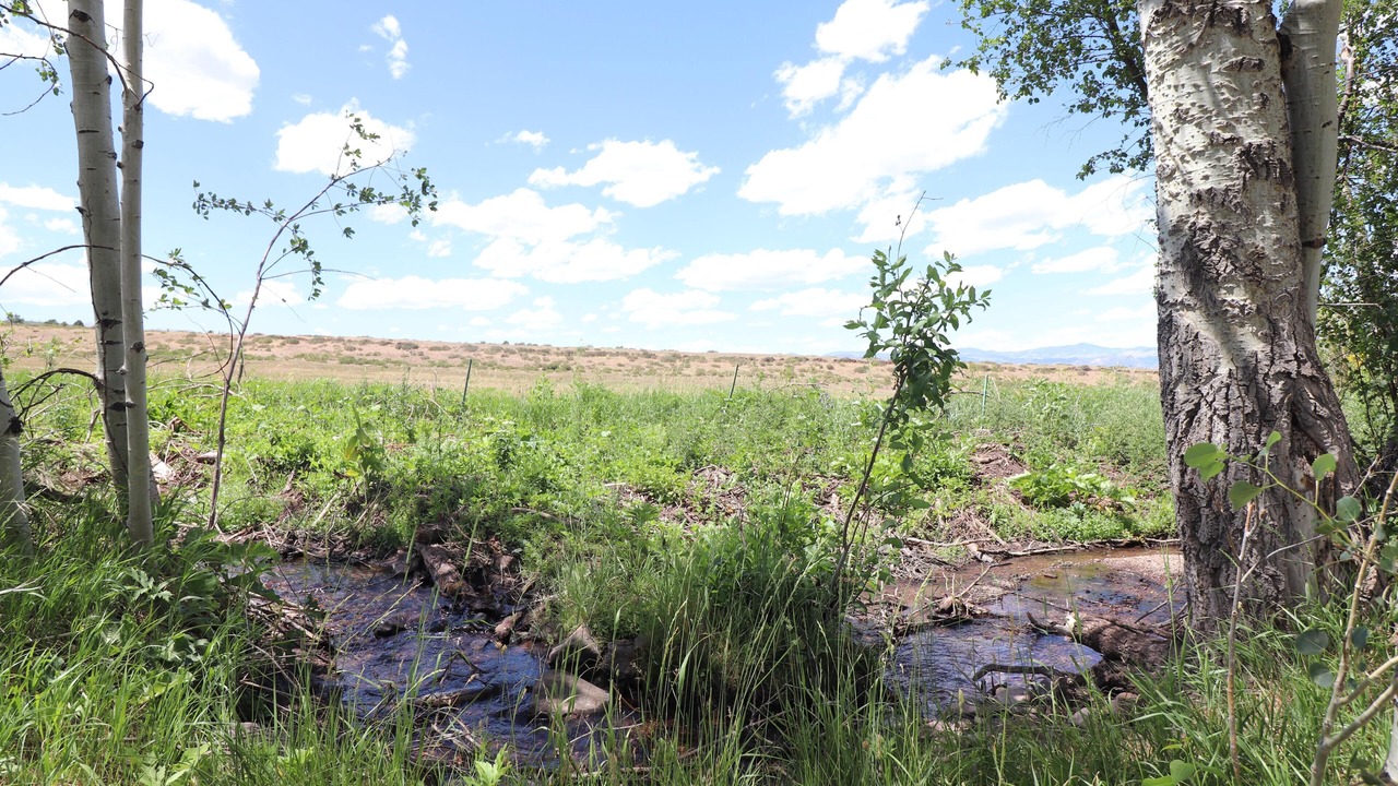 Photo of Outdoor in Hillside