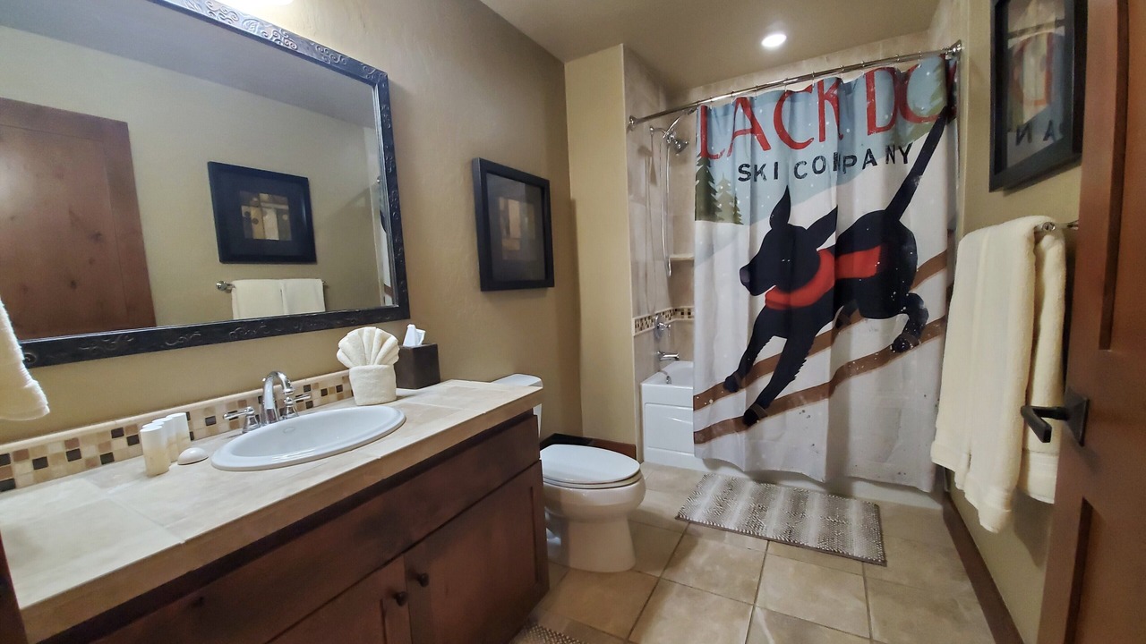Photo of Bathroom in Purgatory
