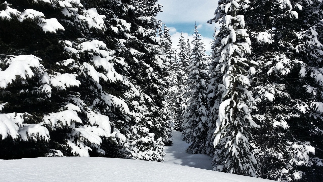 Photo of Others in Winter Park