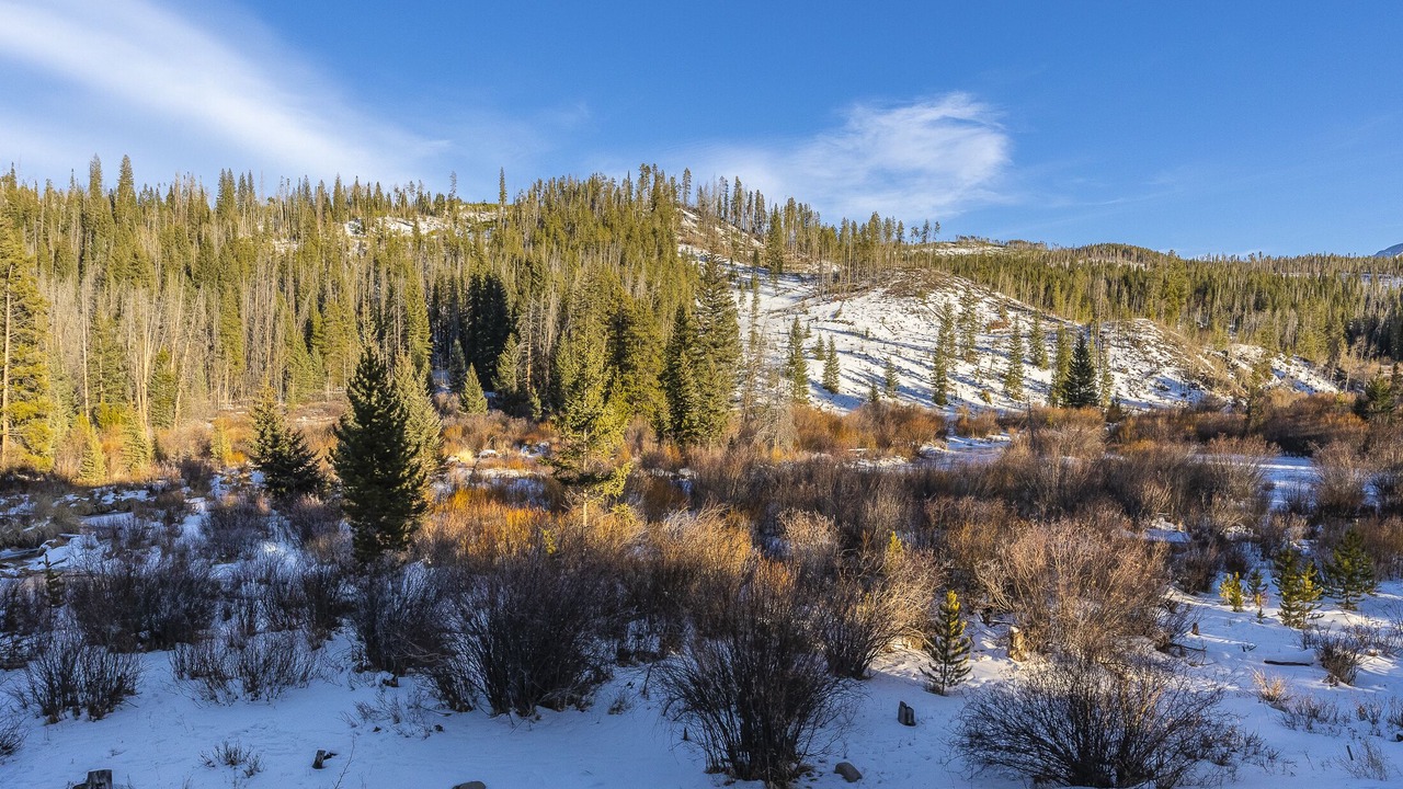Photo of Others in Winter Park