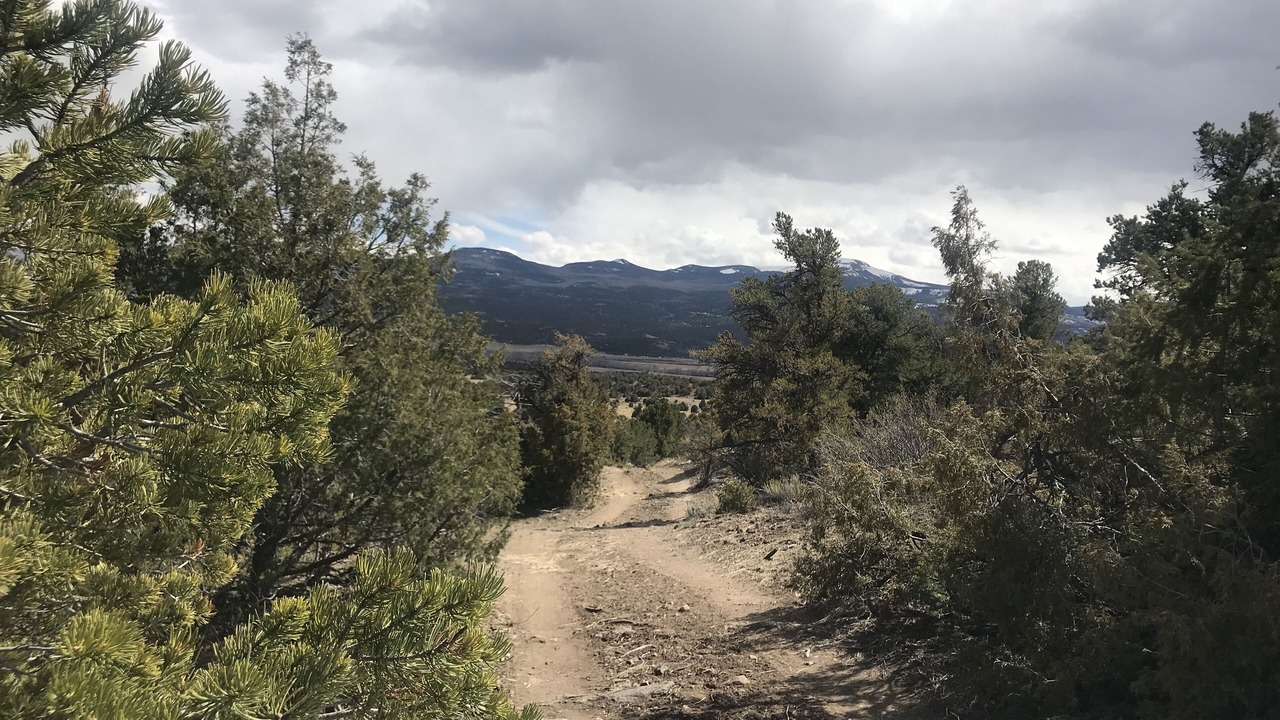 Photo of Others in Rio Grande County