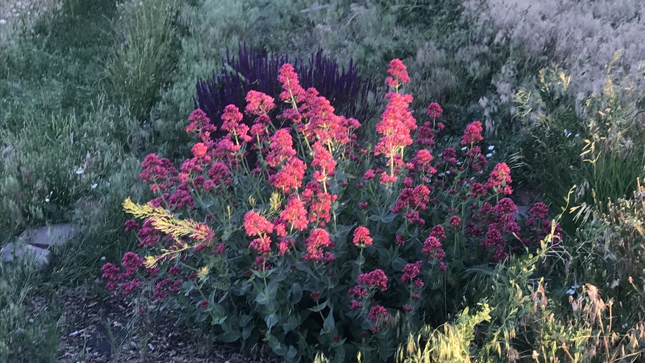Photo of Outdoor in Rio Grande County