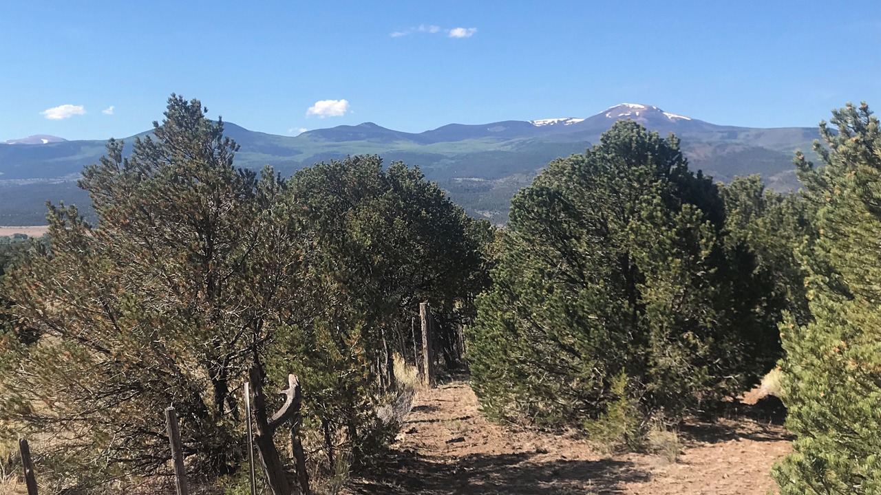 Photo of Outdoor in Rio Grande County