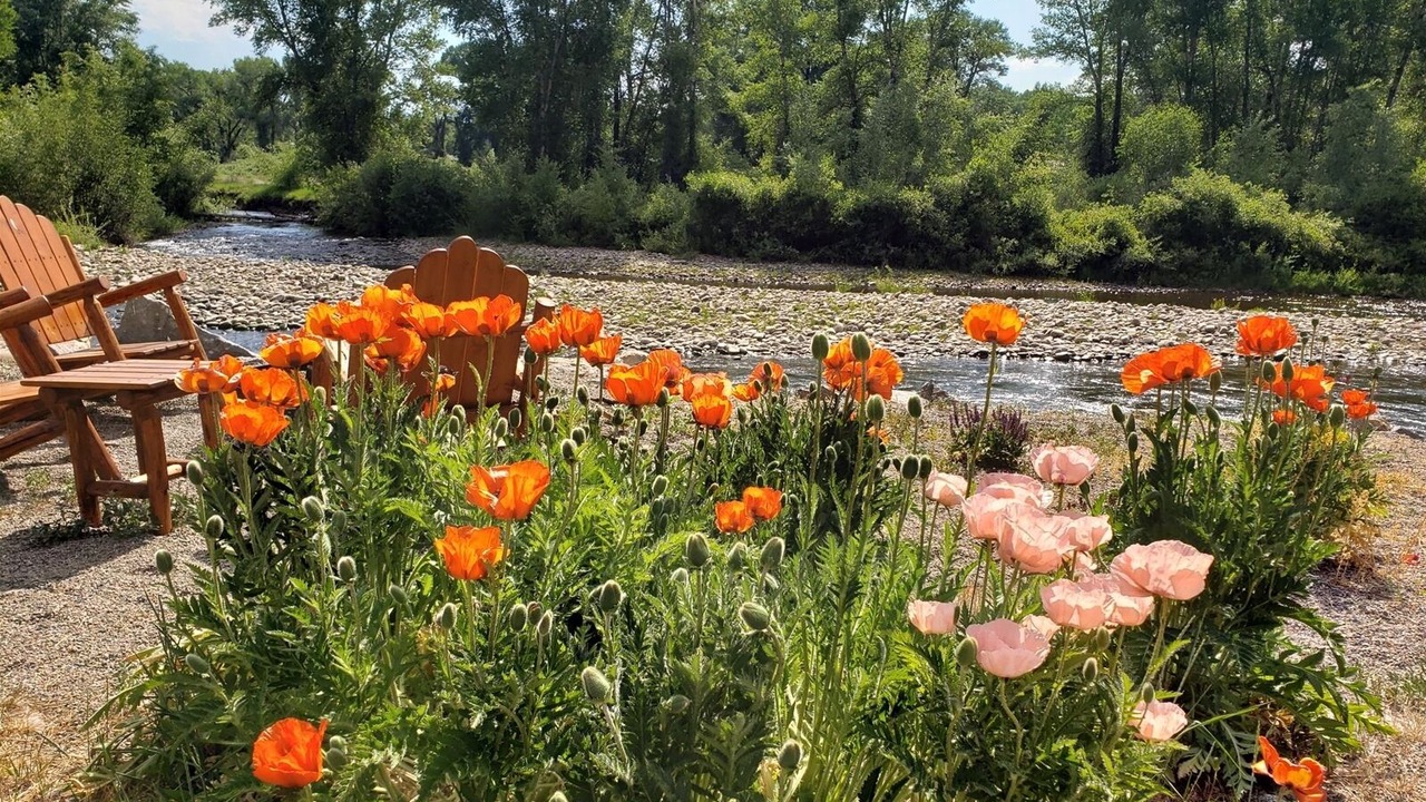 Photo of Outdoor in Gunnison