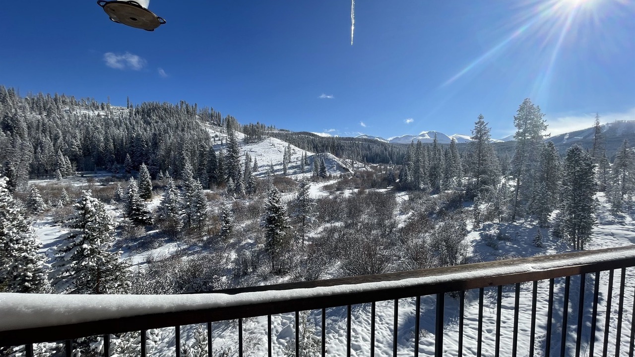 Photo of Others in Winter Park