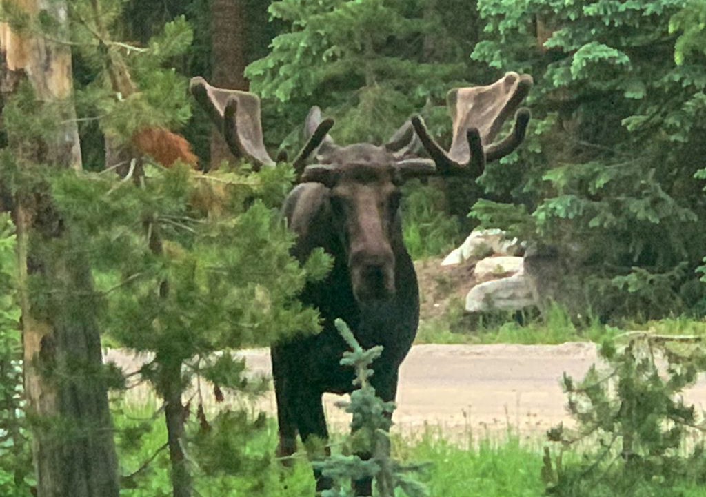 Photo of Others in Blue River