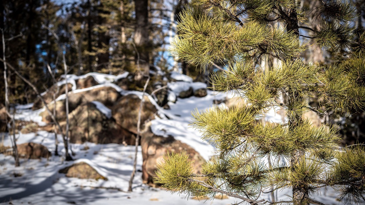 Photo of Outdoor in Divide