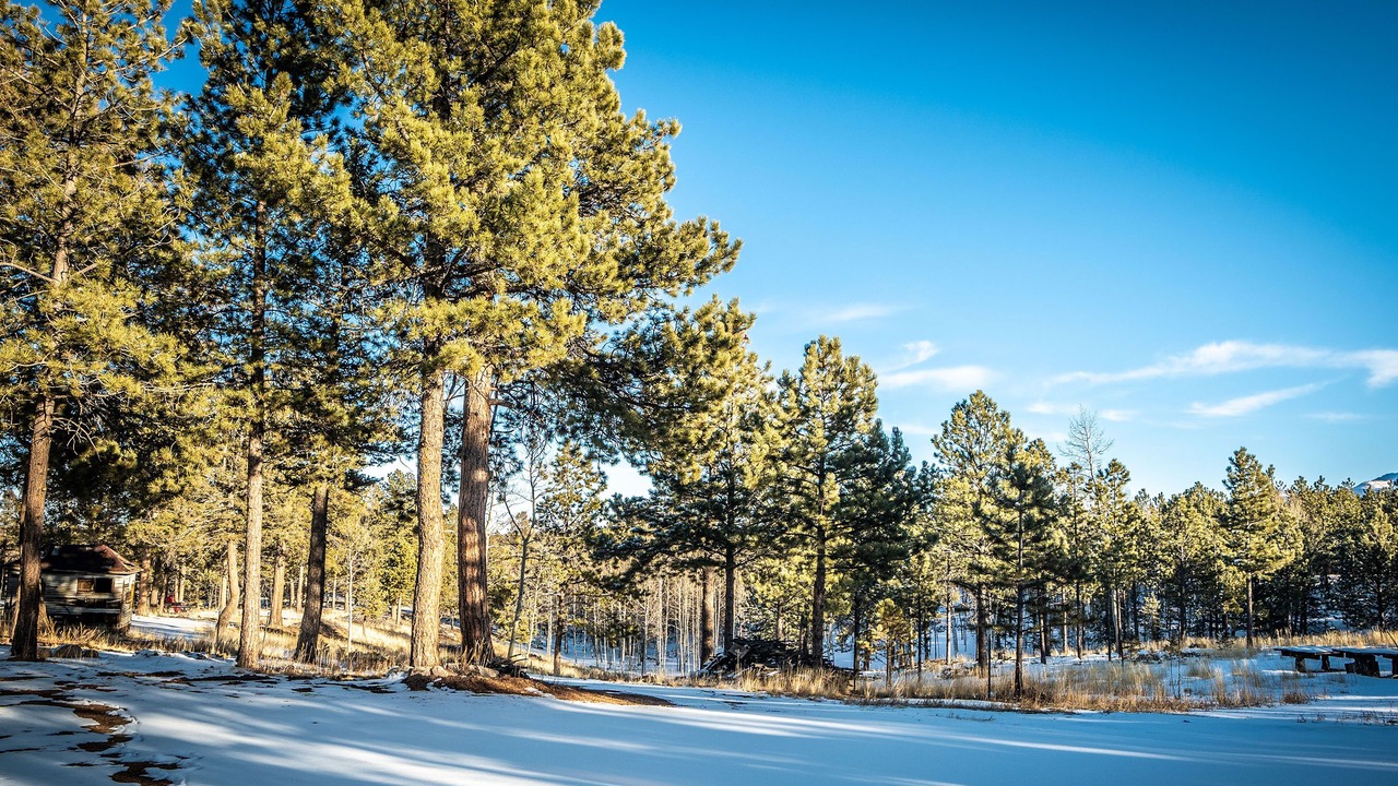 Photo of Outdoor in Divide
