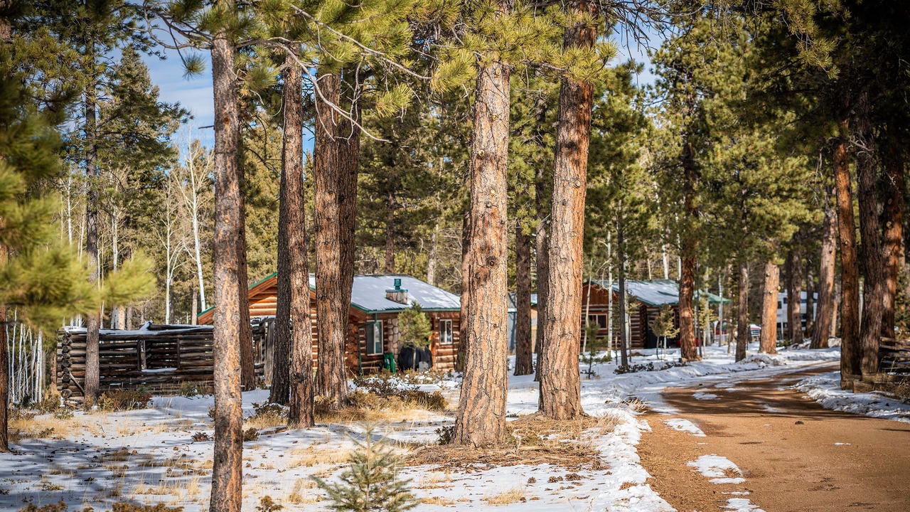 Photo of Outdoor in Divide