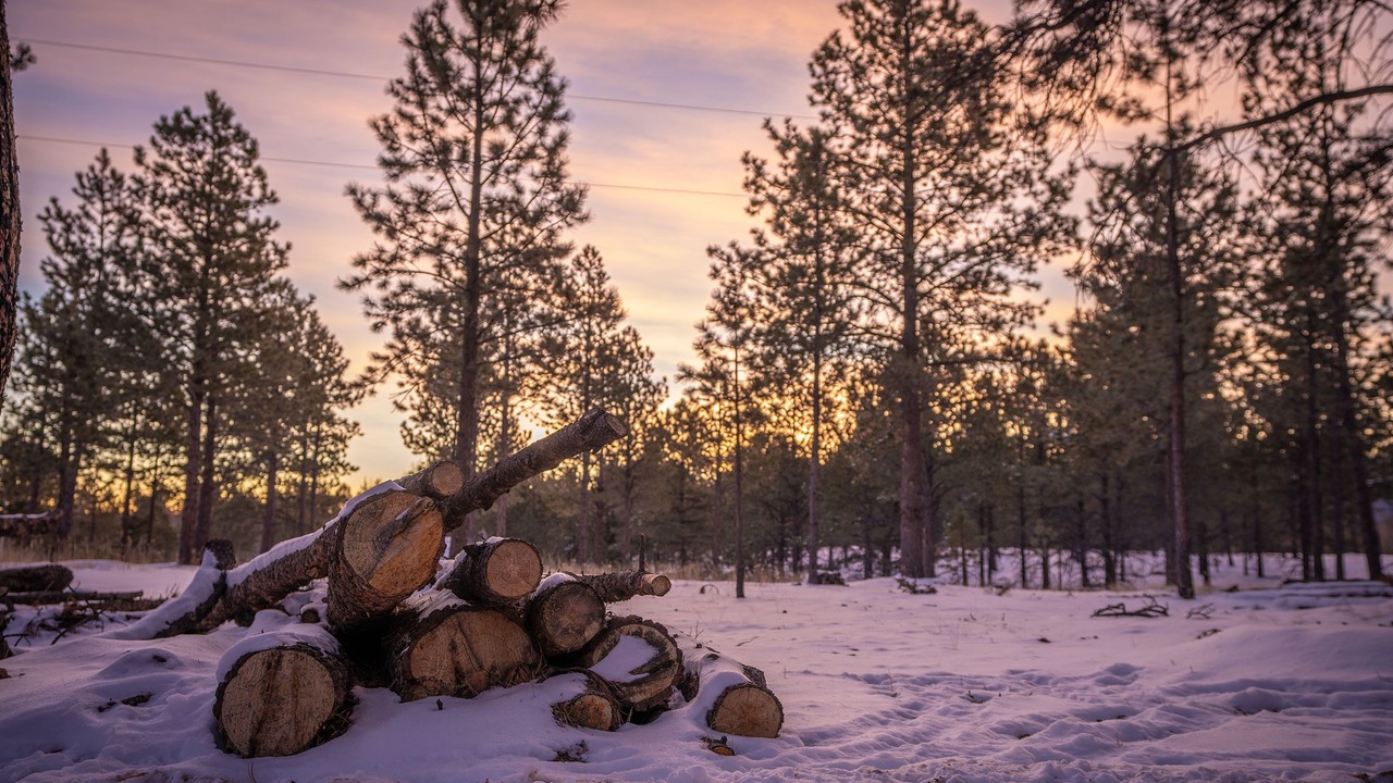Photo of Outdoor in Divide