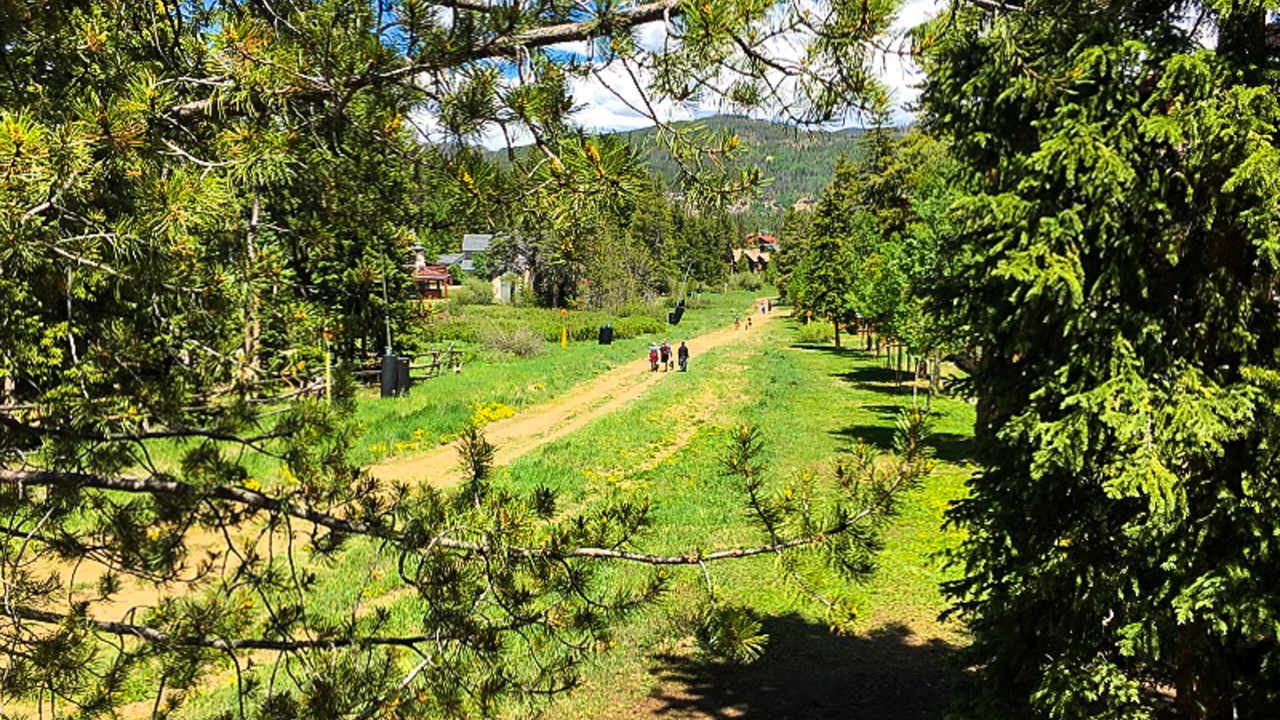 Photo of Outdoor in Four O'Clock