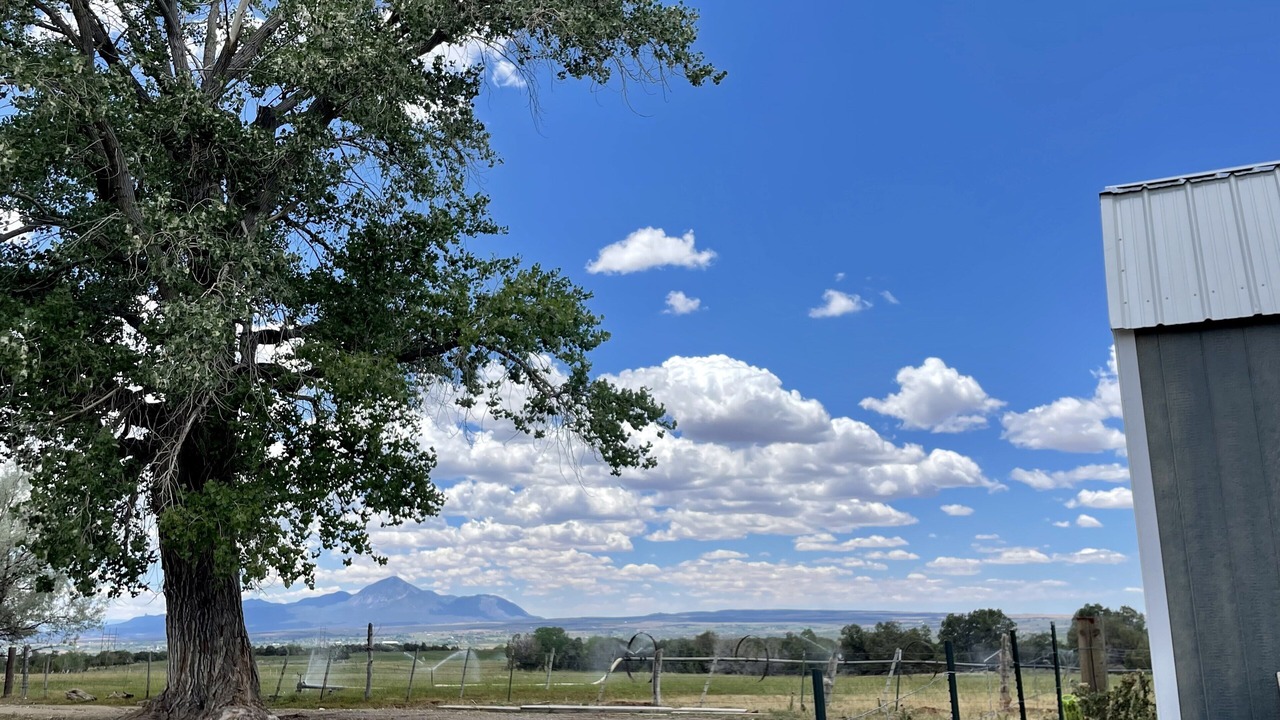 Photo of Others in Cortez