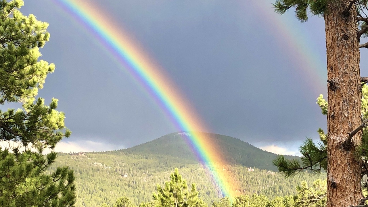 Photo of Outdoor in Evergreen Meadows