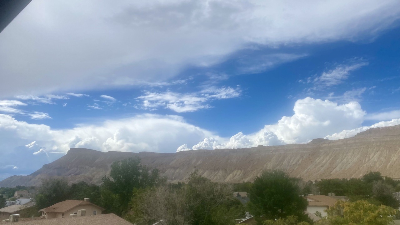 Photo of Others in Palisade