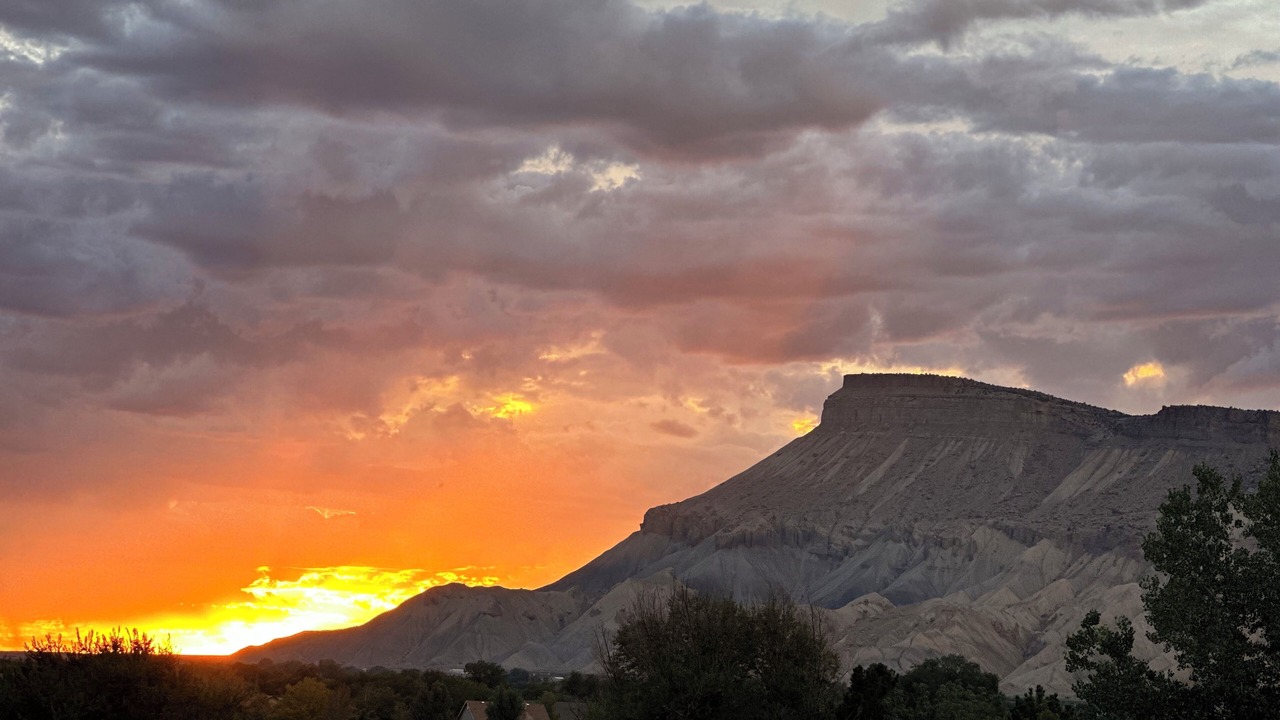 Photo of Others in Palisade