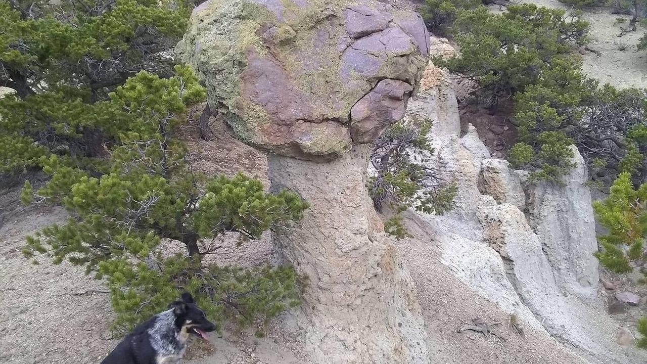 Photo of Others in South Fork
