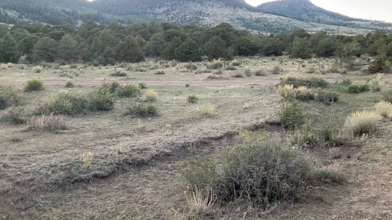 Photo of Others in South Fork