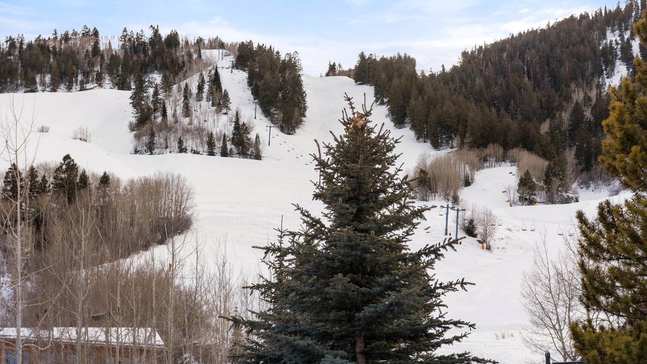 Photo of Others in Aspen