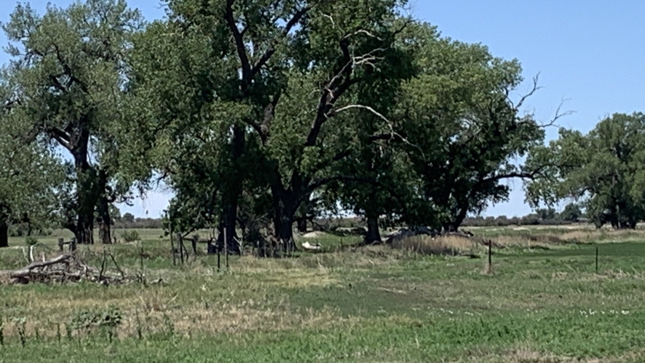 Photo of Outdoor in Lamar