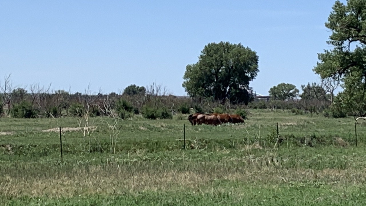 Photo of Outdoor in Lamar