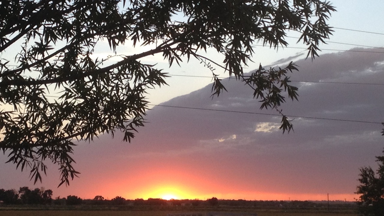 Photo of Outdoor in Lamar