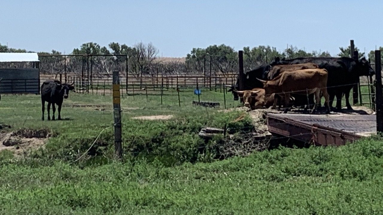 Photo of Outdoor in Lamar