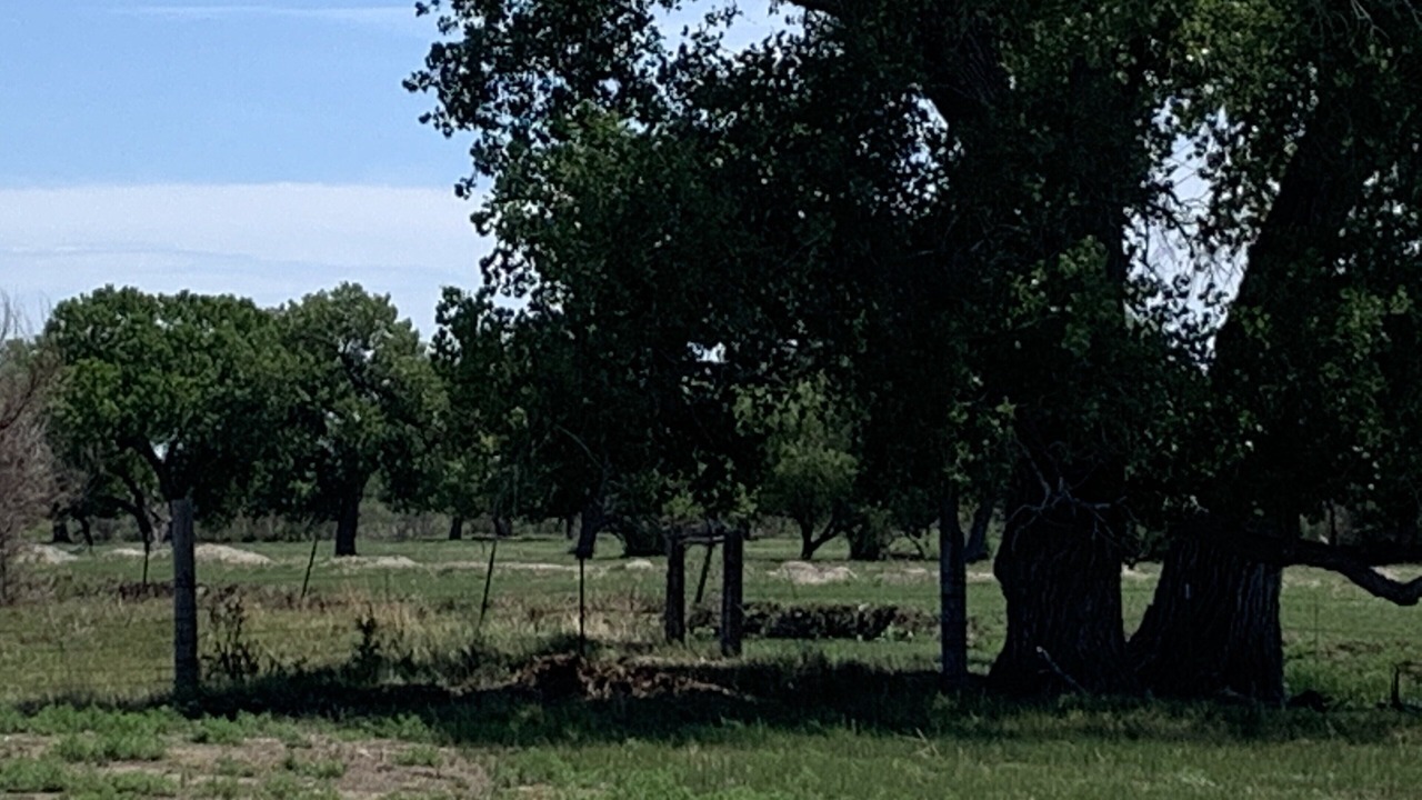 Photo of Outdoor in Lamar
