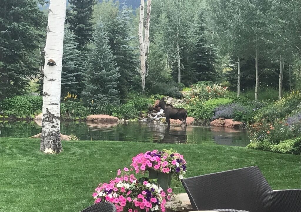 Photo of Others in Aspen