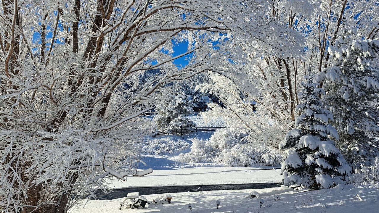 Photo of Outdoor in Pine