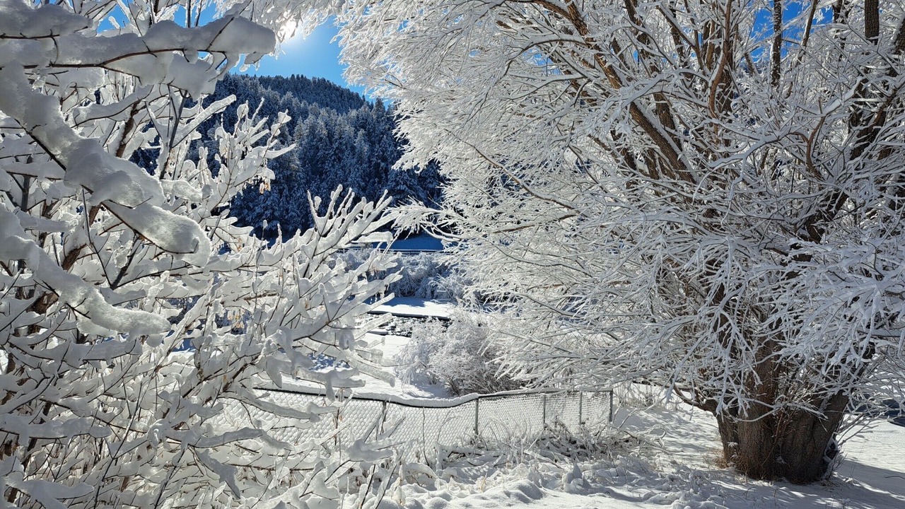 Photo of Outdoor in Pine