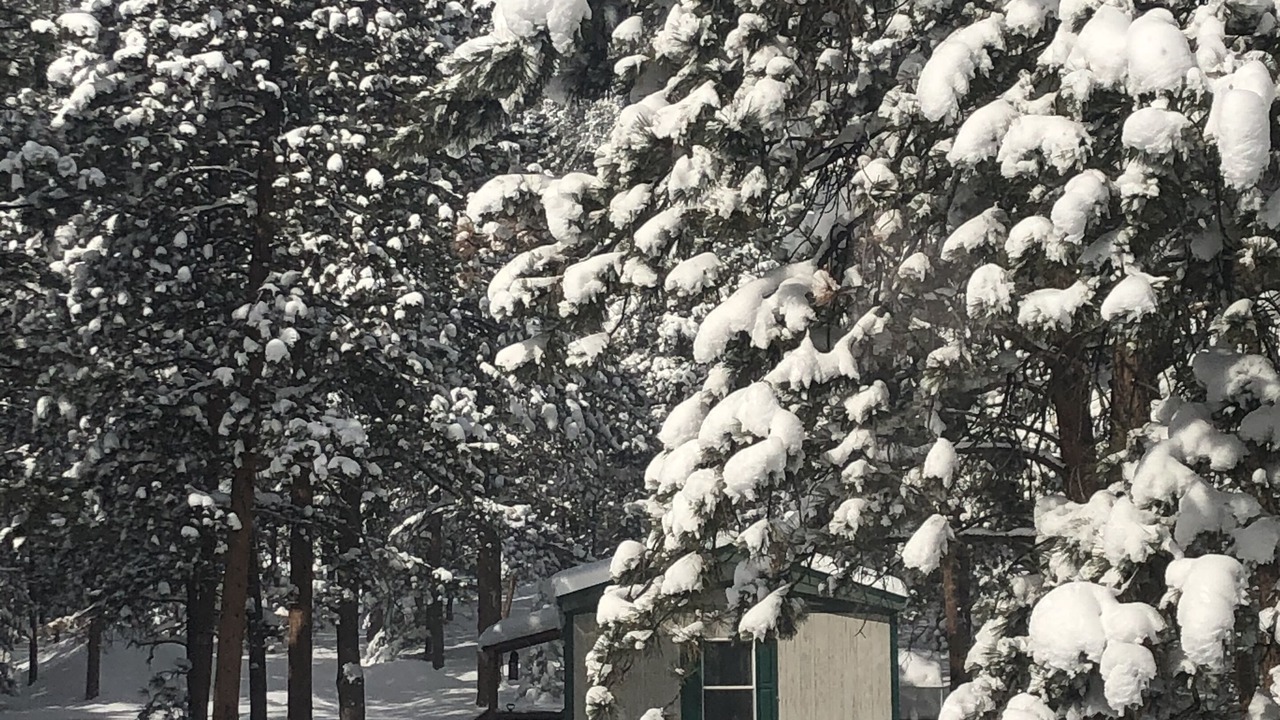 Photo of Outdoor in Woodland Park