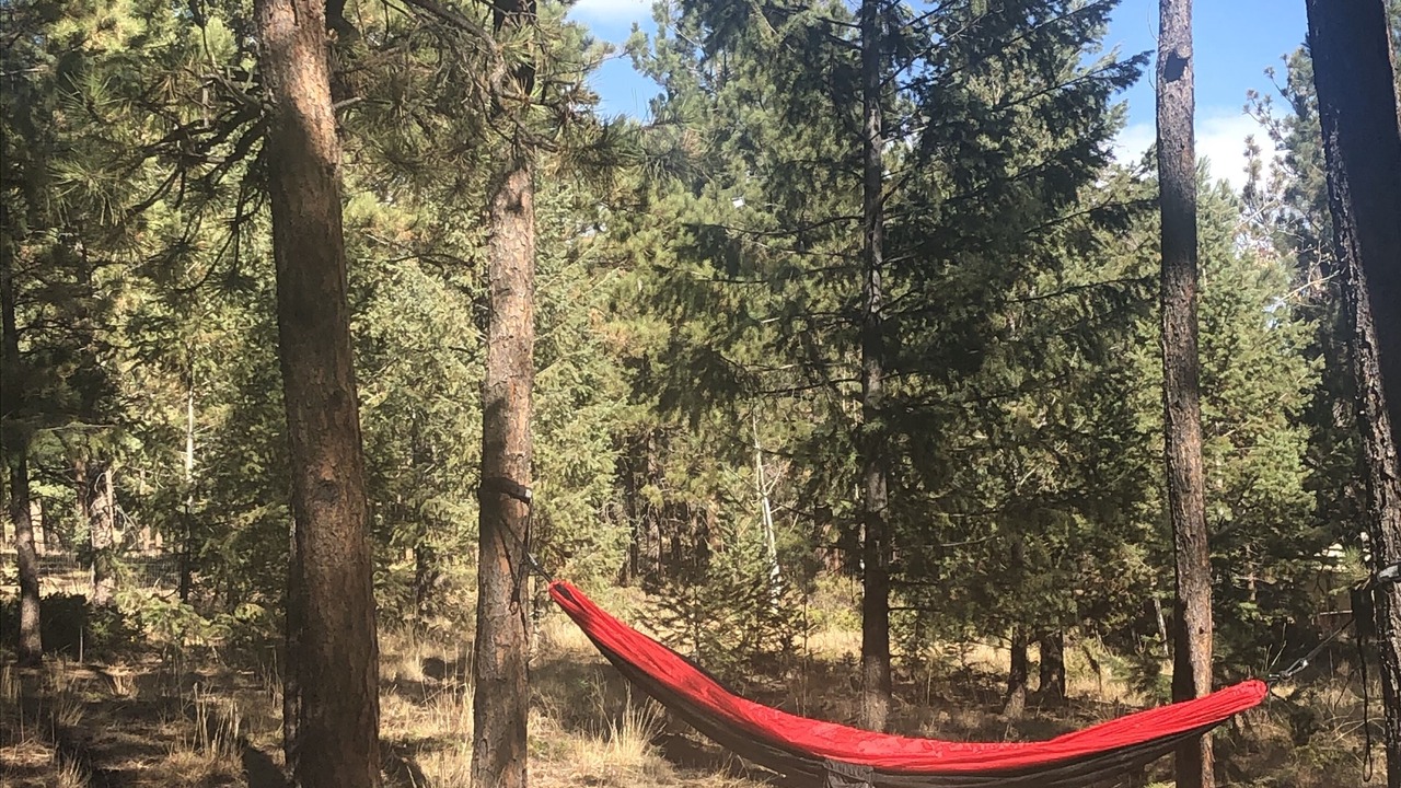Photo of Others in Woodland Park