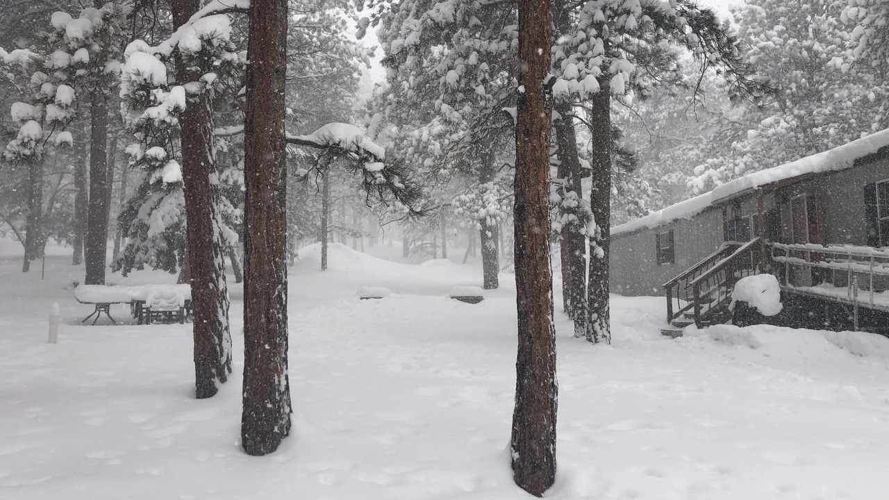 Photo of Outdoor in Woodland Park