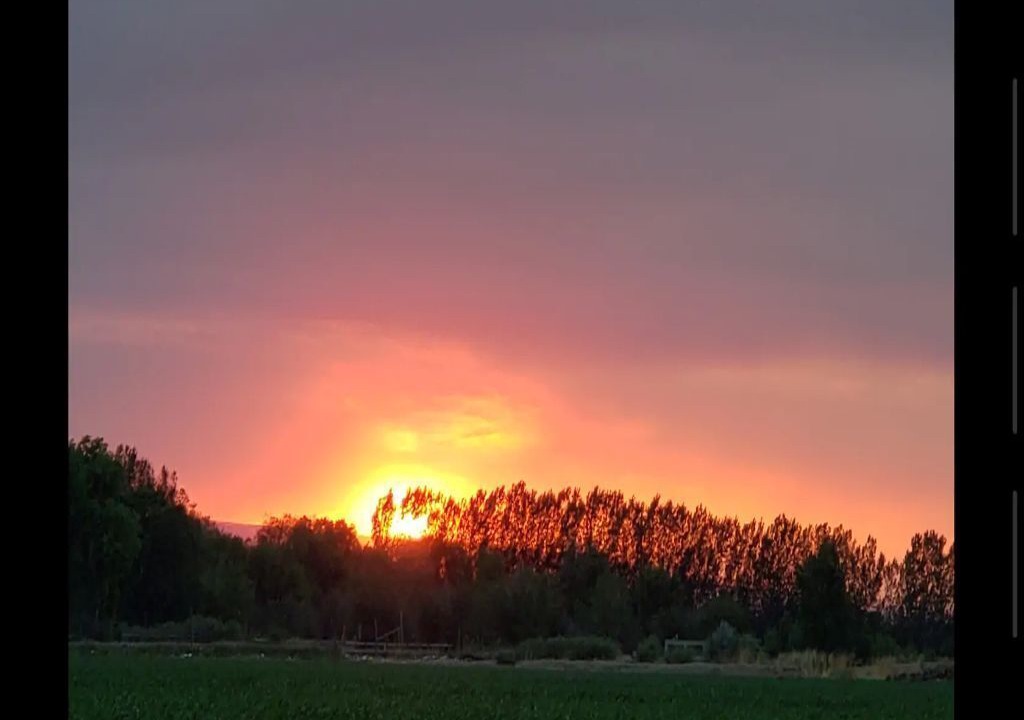 Photo of Others in Lazear