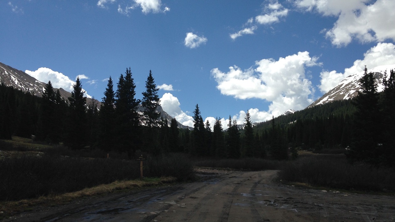 Photo of Others in Whitepine