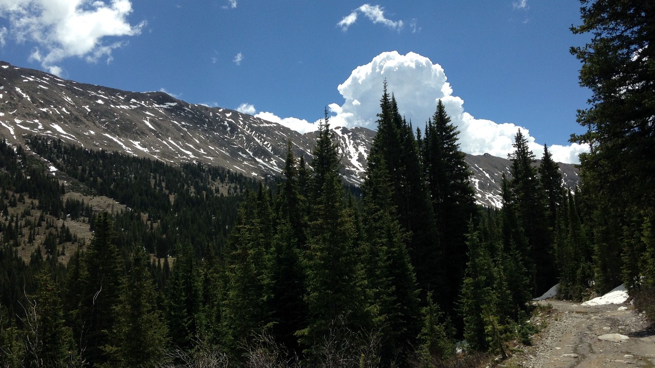 Photo of Others in Whitepine