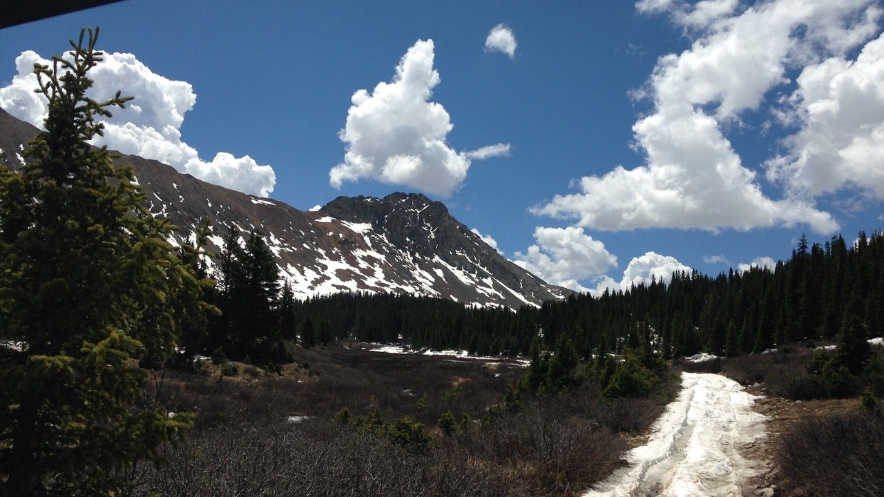 Photo of Others in Whitepine